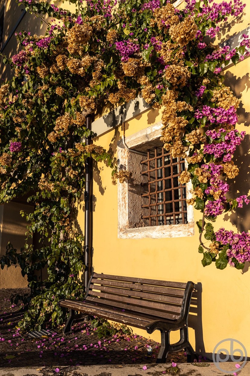 In Gargnano